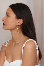 Load image into Gallery viewer, FBG Earrings