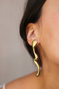 FBG Earrings